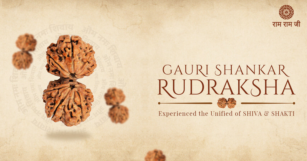 Gauri Shankar Rudraksh: Experience The Unified Divinity Of Shiva and Shakti
