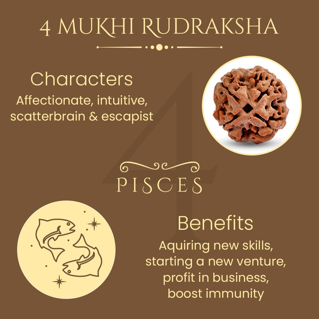 Tridev Blessings 4 Mukhi Wood Rudraksha Bracelet/Four Face Rudraksha  Bracelet - 18 Beads (10mm, Brown) : Amazon.in: Jewellery